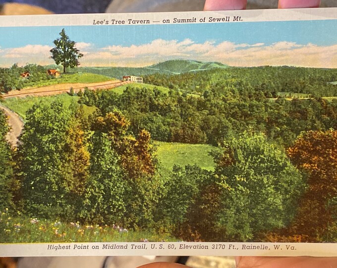 Beautiful Antique Linen Postcard of Lees Tree Tavern on Summit of
