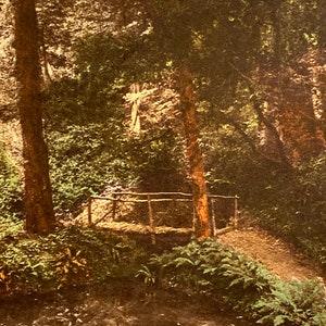 Schöne alte 40er Jahre Postkarte von Yeovil, Rustikale Brücke, Neun Federn in England