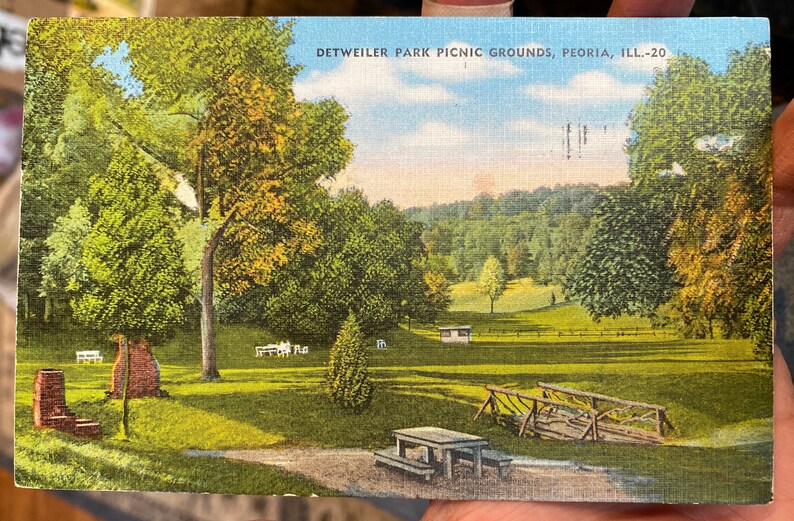 Illinois Beautiful Antique Linen Postcard of Detweiler Park Picnic Grounds in Peoria