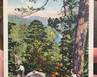 Fabulous Antique Linen Postcard of Scene on North Mountain, Trail leading to Goat Rock at Hot Springs National Park in Arkansas