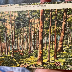 Lindo cartão postal de linho antigo com a mensagem “Saudações de Bay City, Texas”