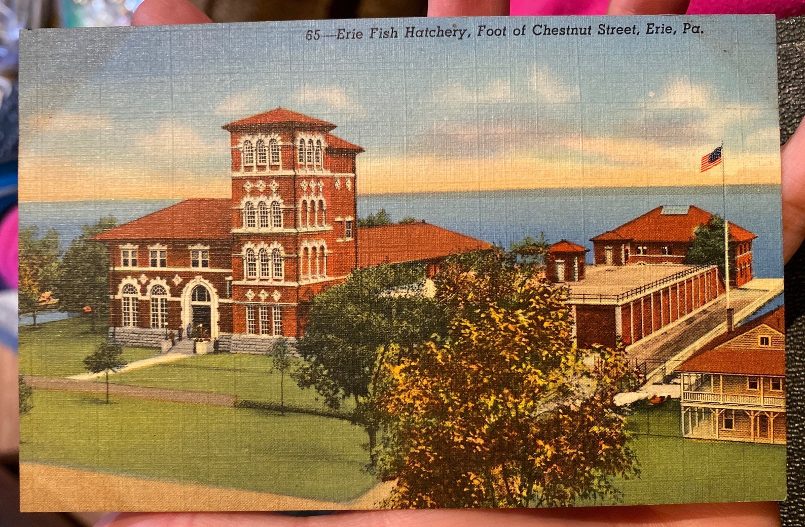 Fantastic Antique Linen Postcard of Erie Fish Hatchery at