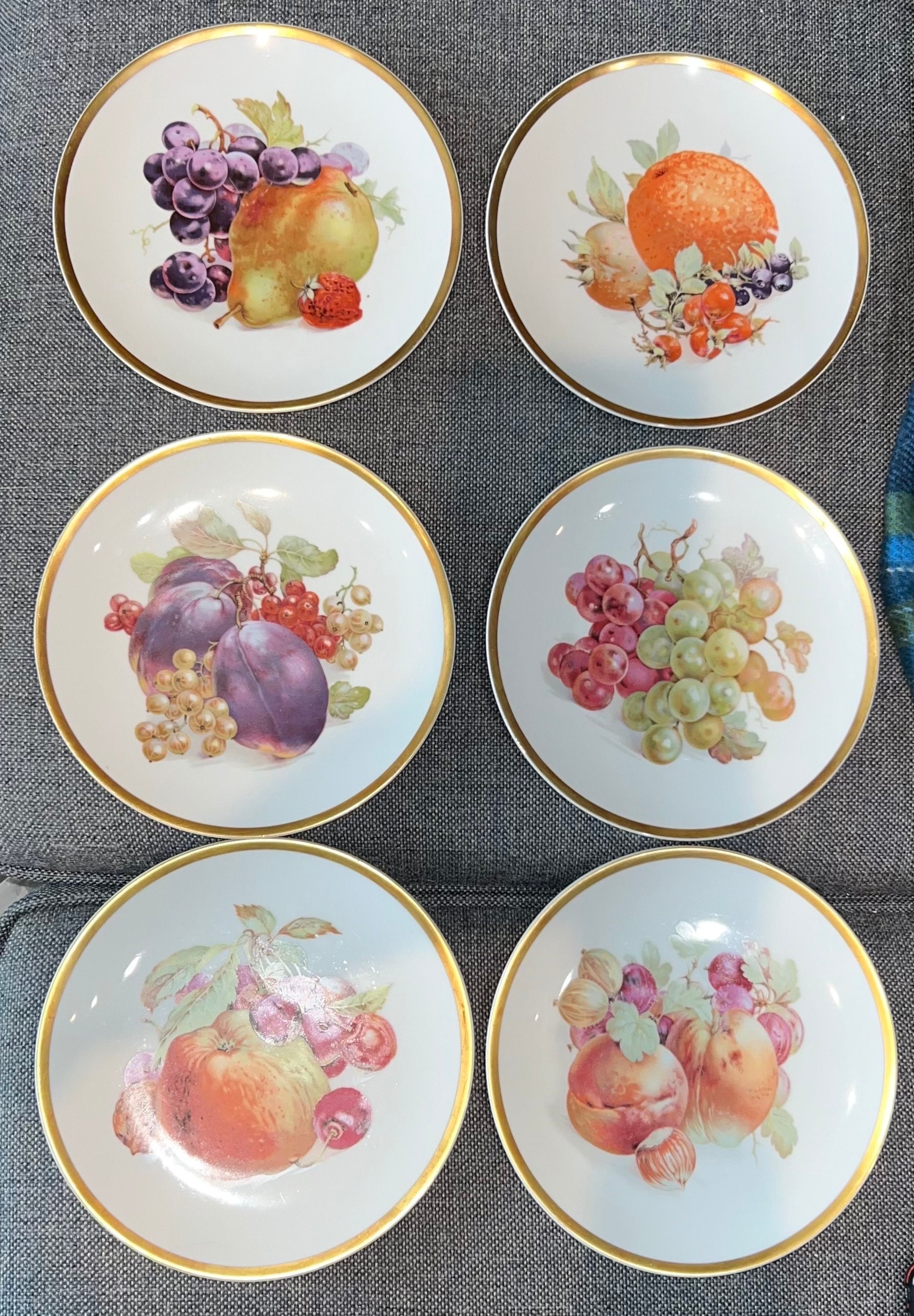 Wunderschöne Sammlung von 6 Antiken E & R Golden Crown Bavaria Obstgarten Obst Porzellan Teller
