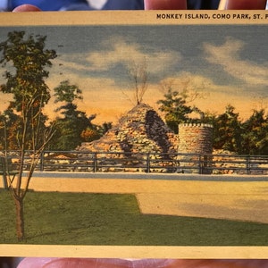 Schöne Antike Leinen Postkarte Monkey Island, Como Park in St Paul, Minnesota