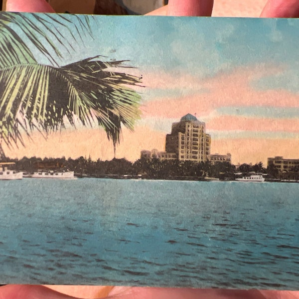 Beautiful Antique Linen Postcard of The Flamingo Hotel in Miami, Florida