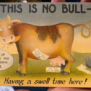 Drôle de lin antique des années 1940-50 « Ce n’est pas un taureau, avoir un temps de houle ici! » Carte postale avec vache