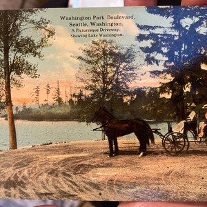 Belle carte postale colorisée antique de Washington Park Boulevard montrant le lac Washington à Seattle, Washington
