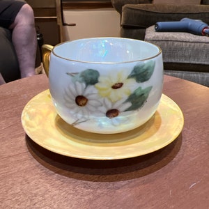 Beautiful Antique Victorian Opalescent Porcelain Bavaria Handpainted Daisies Cup & Saucer