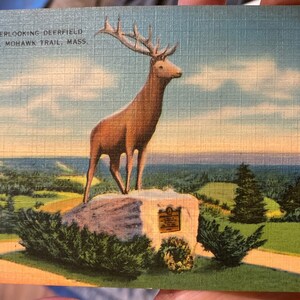 Wunderschöne Antike Leinen Postkarte vom Elch, Mit Blick auf das Deerfield River Valley, Mohawk Trail in Massachusetts