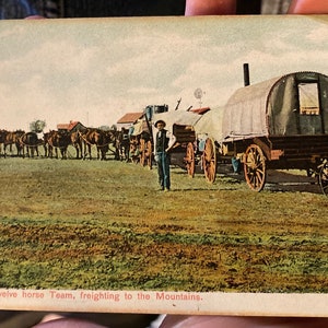 Cool Antique Colorized Postcard of A Twelve Horse Team Freighting to the Mountains