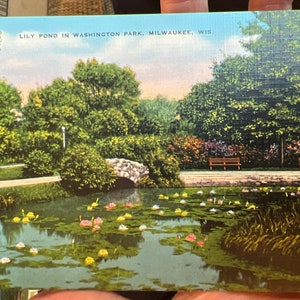 Belle carte postale en lin antique de Lily Pond à Washington Park à Milwaukee, Wisconsin