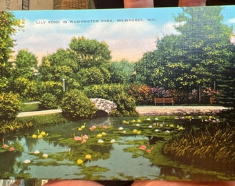 Beautiful Antique Linen Postcard of Lily Pond in Washington Park in Milwaukee, Wisconsin