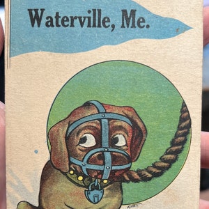 Cute Antique Postcard of a Muzzled Pooch “Was Tied Up In Waterville, Maine” 1917