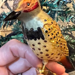 May include: A detailed glass bird ornament with a tan body, black and gold accents, and a red stripe. The bird has a black beak and is perched on a gold metal base. The ornament is likely for holiday or seasonal decor.