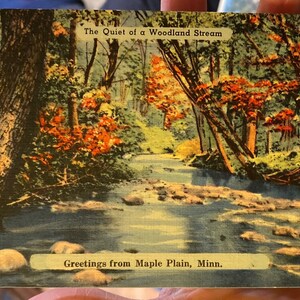 Lindo cartão postal de linho antigo “Saudações de Maple Plain em Minnesota”