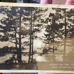 Antigo cartão postal com foto real RPPC da cena na trilha para as alturas, Michigan
