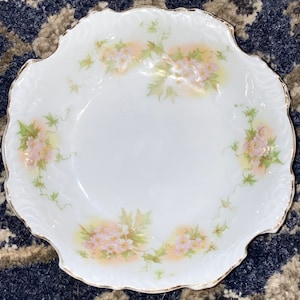 Stunning Antique Germany Hermann Ohme Eglantine Dogwood Floral 5” Berry Bowl Set of 7