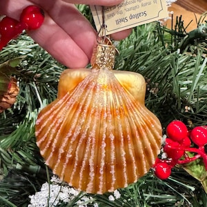 May include: A decorative scallop shell ornament with a gold-colored top and a textured, orange and white shell design. The ornament is hanging on a Christmas tree with red berries and green branches.