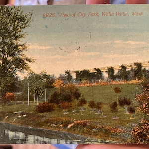Belle carte postale colorisée antique de vue du parc de la ville à Walla Walla, Washington 1913
