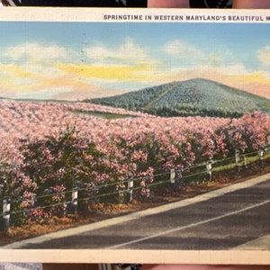 Carte postale en lin antique cool du printemps dans les belles montagnes de l’ouest du Maryland