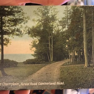 Wunderschöne Antike 1920er Postkarte von Lake Champlain Forest Road Cumberland Head New York
