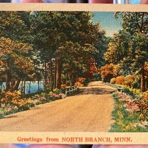 Lindo cartão postal de linho antigo com saudações de North Branch, Minnesota