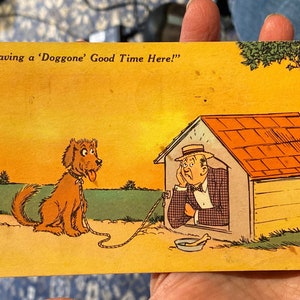 Cartão postal antigo incrível de um homem em uma casinha de cachorro “Having a Doggone Good Time Here” de Ottawa, Ontário a Millerton, Pensilvânia