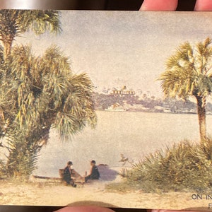 Mooie antieke vroege jaren 1900 ansichtkaart van "On the Indian River Florida"