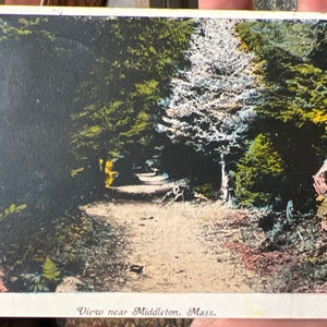 Schöne antik colorierte Ansichtskarte in der Nähe von Middleton, Massachusetts