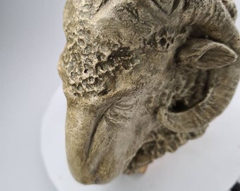 El significado oculto detrás del símbolo de Aries del carnero