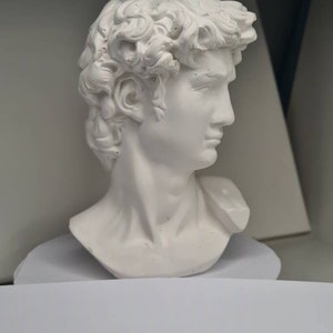 Michelangelo David Head 18cm