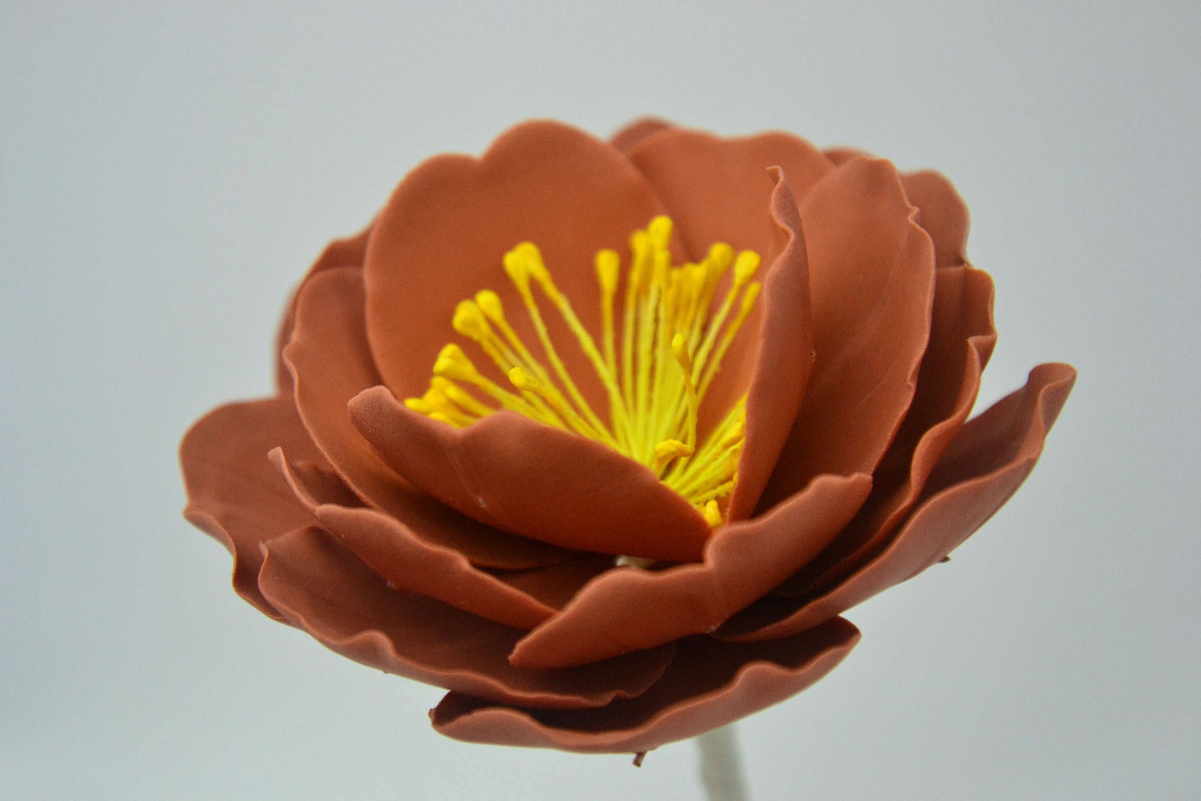 Charm Peony large 4 sugar paste flower handmade Etsy