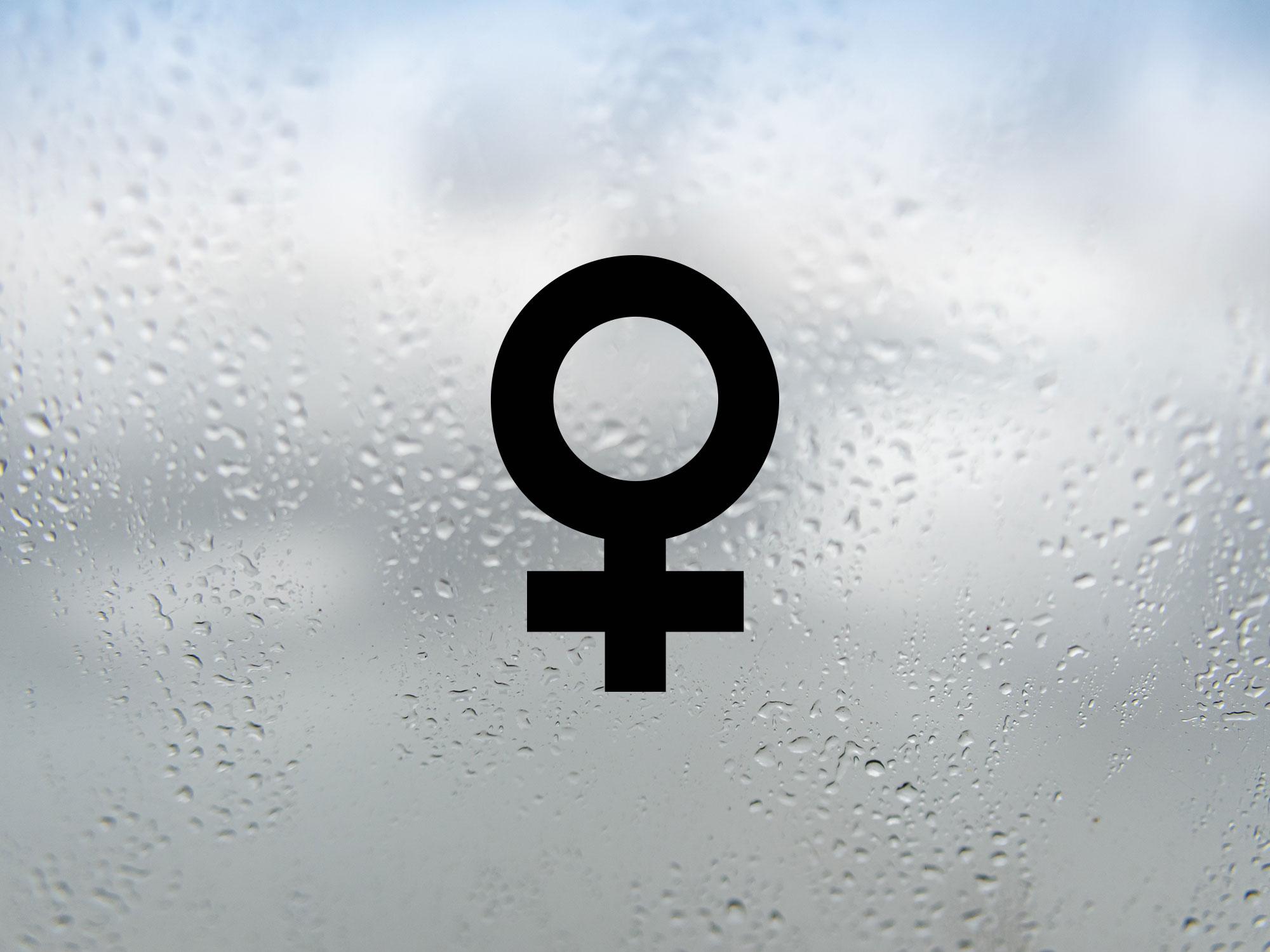 Mini Venus Symbol Sticker | Vinyl Decal - Etsy