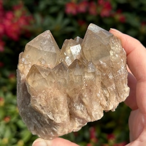 Beautiful Smoky Quartz Cluster / Mineral Specimen / Gift for Nature Lovers / Crystal Home Decor