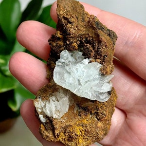 May include: A cluster of white calcite crystals on a brown, textured rock. The crystals are arranged in a flower-like shape.