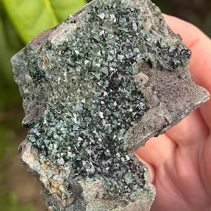 May include: A rough, gray rock with a cluster of dark green crystals. The crystals are small and have a sharp, pointed shape.