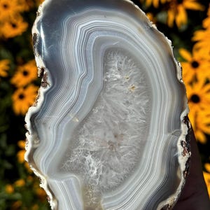 May include: A polished agate slice featuring concentric bands of white, light gray, and translucent charcoal gray. The center of the stone contains a cluster of small, clear, crystalline structures surrounded by smooth, layered mineral deposits.