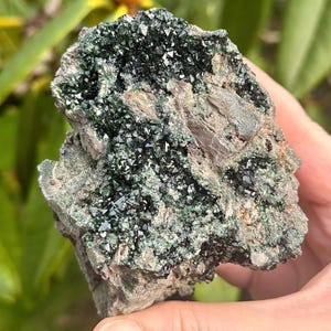 May include: A rough, gray rock with a cluster of dark green crystals embedded in it. The crystals have a shiny, metallic appearance.