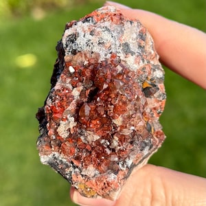 May include: A rough, natural mineral specimen featuring a cluster of small, reddish-brown crystals. The rock has a mix of colors, including red, black, white, and yellow, with a slightly rough texture. The background is a blurred green.