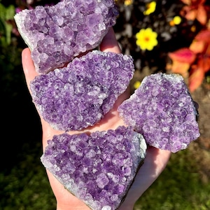 Puede incluir: Cuatro grupos de cristales de amatista de varios tamaños, sostenidos en una mano. Los cristales muestran un tono púrpura intenso con una estructura cristalina. El fondo presenta flores coloridas.