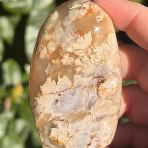 Natural Cut Base Flower Agate Crystal Free Form / Gifts for Nature Lovers / Gifts for Him / Gifts for Her