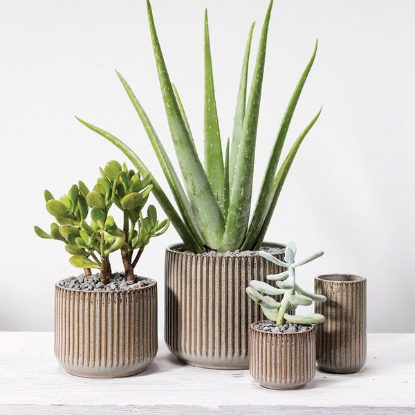 Habitat Ceramic Pots for Plant | Indoor and Outdoor Planter (5.25"x4.25" OR 6.75"x5.75")