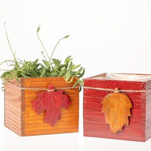 May include: Two wooden planter boxes with a leafy green plant in one and a decorative leaf on each. The planter on the left is brown with a red leaf and the planter on the right is red with a brown leaf.