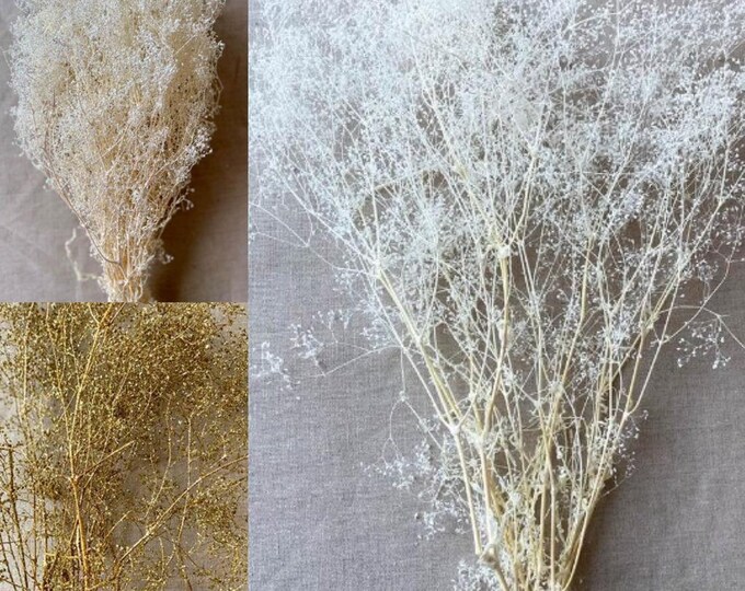 Dried Stardust Gyp (Bleached OR White Sparkle)