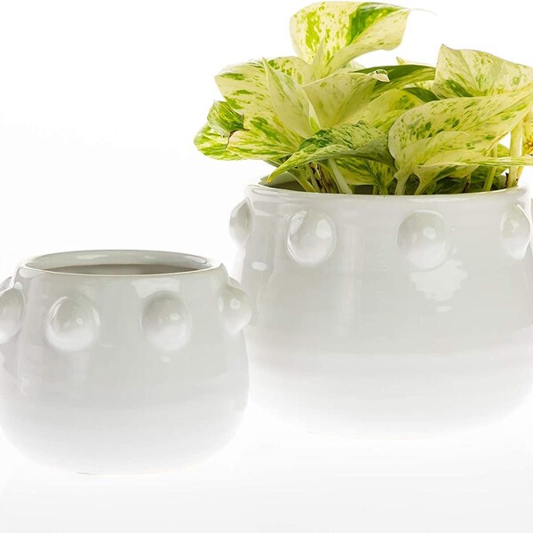 Puka Ceramic Pot for Plant | White Ceramic Planter (5" x 4" OR 6.5" x 5")