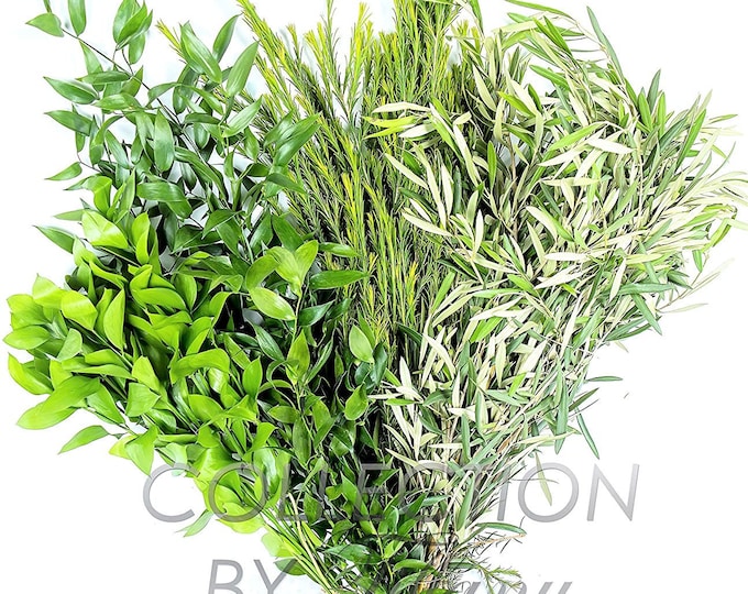 Mixed Greens | Ruscus Italian, Isreali, Honey Bracelet OR Olive Branches (Sell in Single OR Set)