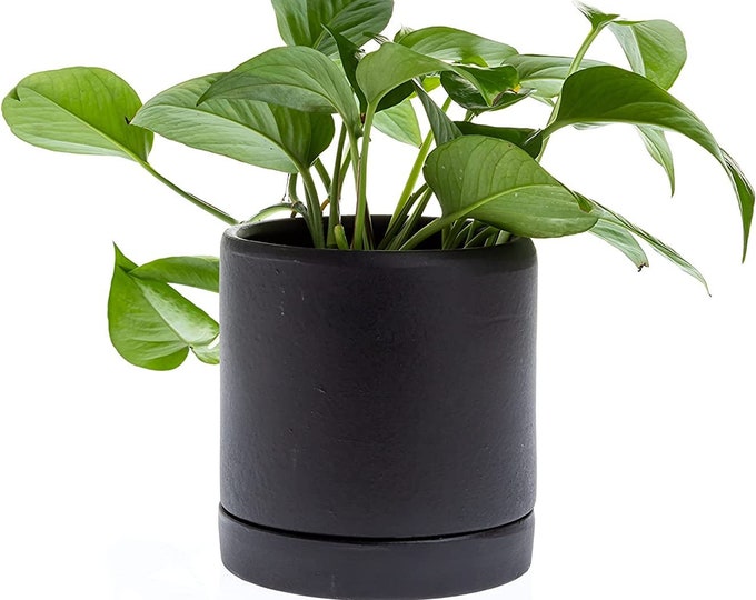 Black Pot with Saucer | Matte Black Planter (5.5"x6" OR 8"X8") (Sell By Single Piece OR Combo)