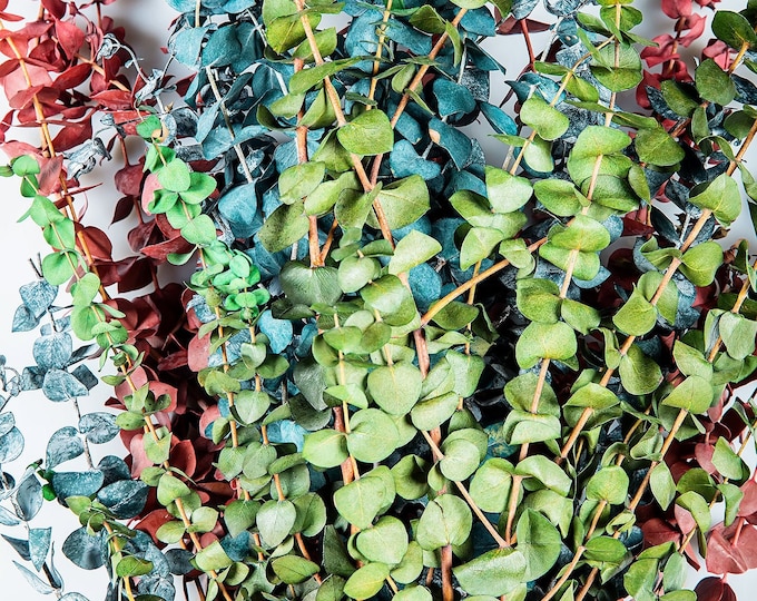 Preserved Eucalyptus Branches | Green, Blue & Red | (22"-28" Inches Tall) (12 to 14 branches a Bunch ) ( 1lb Bunch)