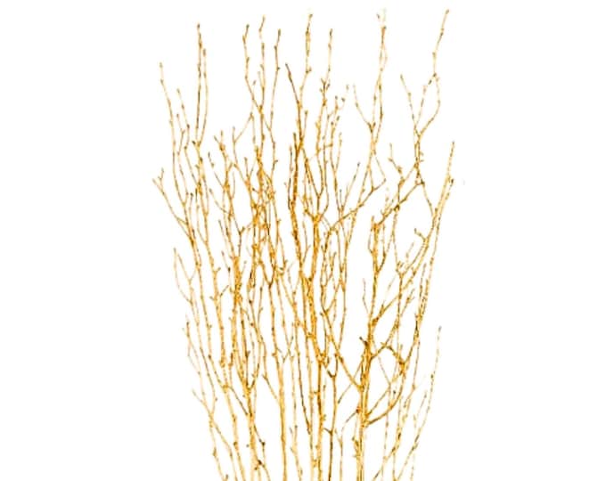 Gold Birch Branches | 2-2.5 FT (Pack of 10)
