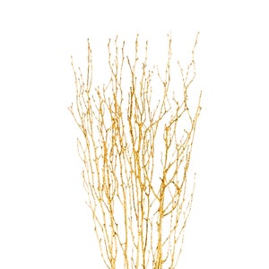 Gold Birch Branches | 2-2.5 FT (Pack of 10)